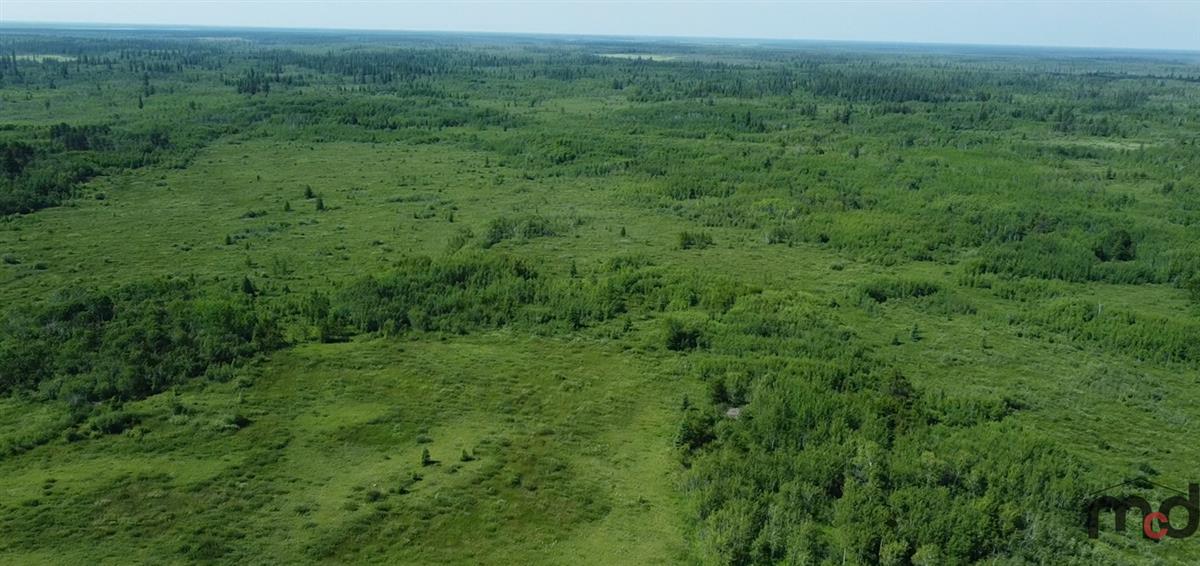 Half Section of Farm / Recreational Land RM of Grahamdale, MB Real